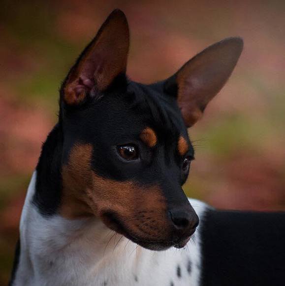 jchappellphoto
